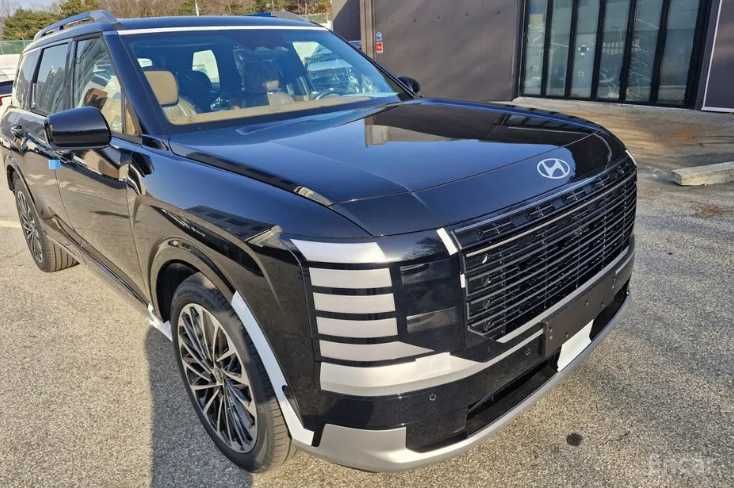 Hyundai Palisade Calligraphy!