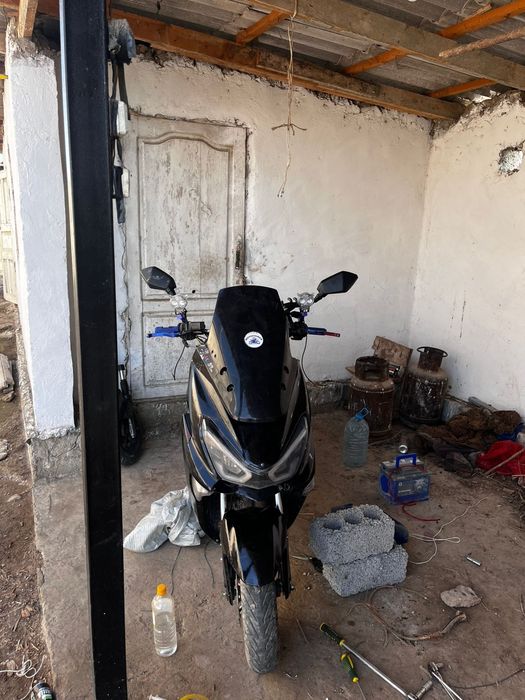 Maksi li Ya бір жыл гарантия