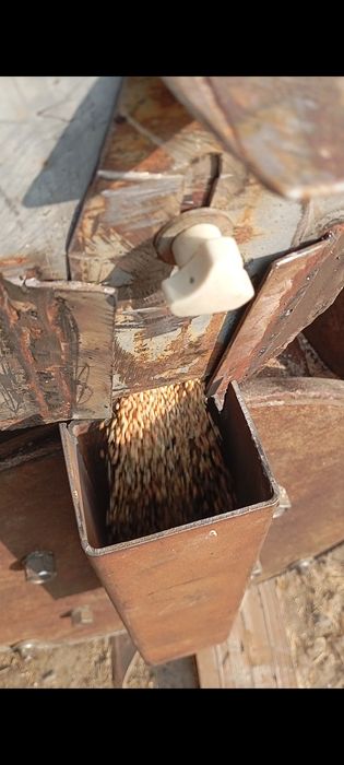 Драбилка дон майдалагич