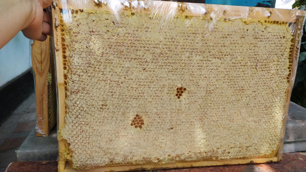 Продам мед со своей пасеки