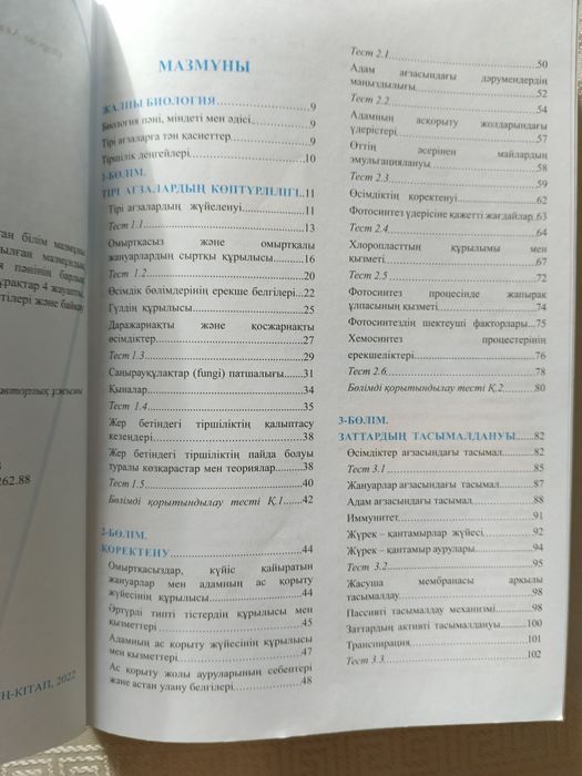 Ssbbw порно фотосуреттер