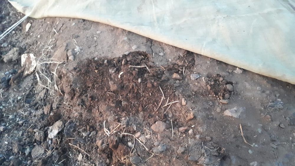 Продам перегной  Газ53