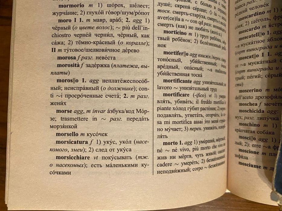 Словарь по итальянскому языку