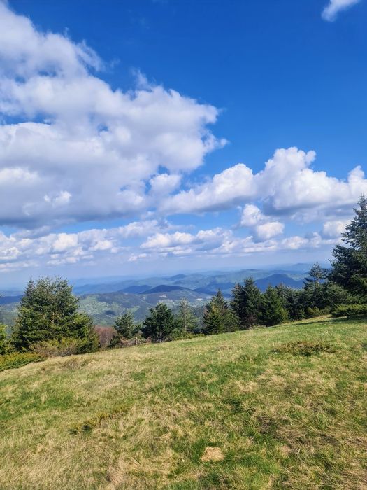 Продава се Земеделски имот в с. Давидково, Област Смолян -  кв.м за 15000 €/дка - Снимка #9