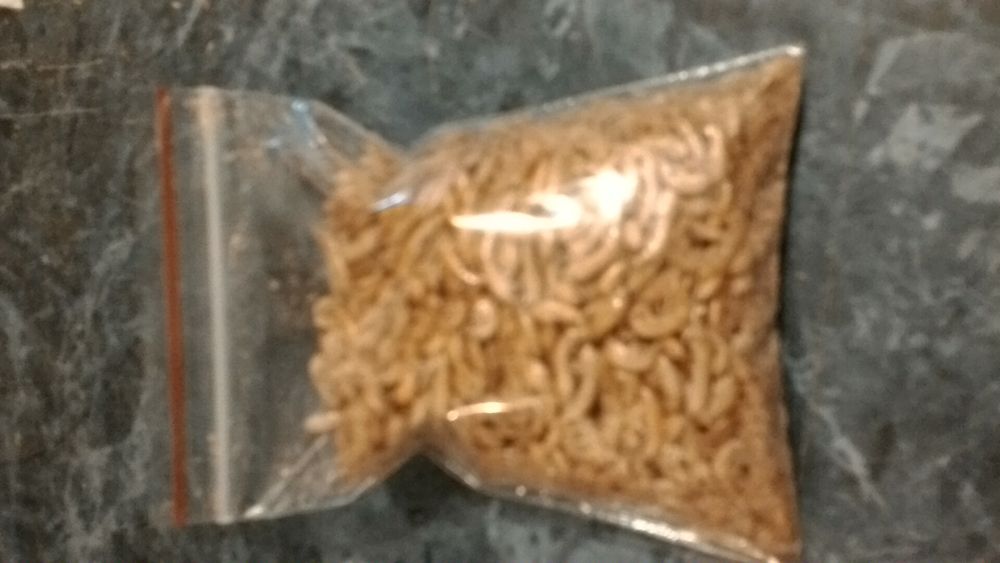 Корм для рыб Бармаш