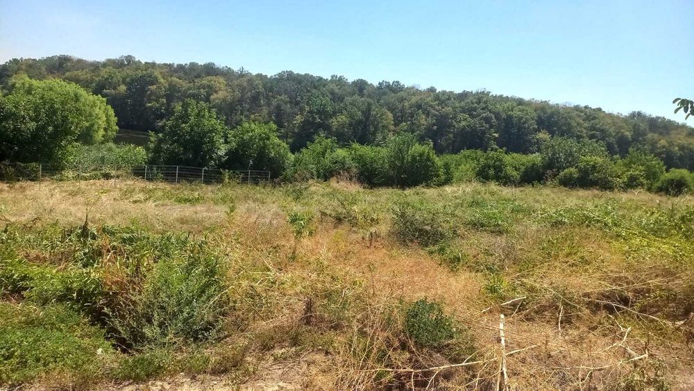 Vand teren in Ganeasa Ilfov, langa lac si padure.