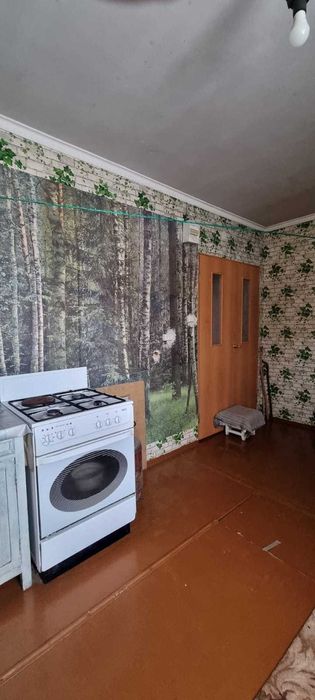 Продам дом в с. Петерфельд