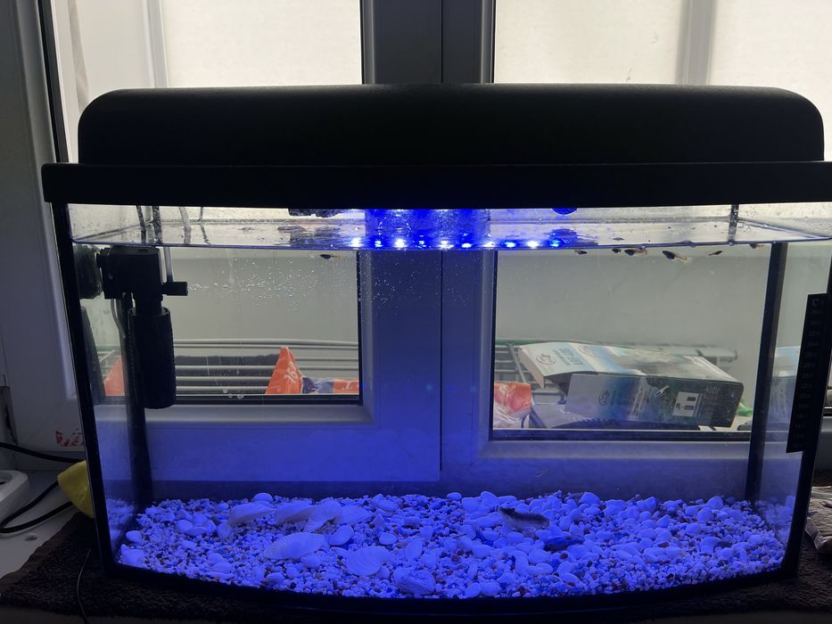 Аквариум 50литр Полный Комплект