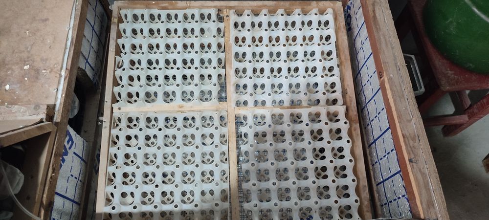 Инкубатор автомат