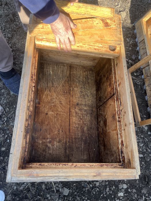 Stupi albini foarte bune lemn masiv