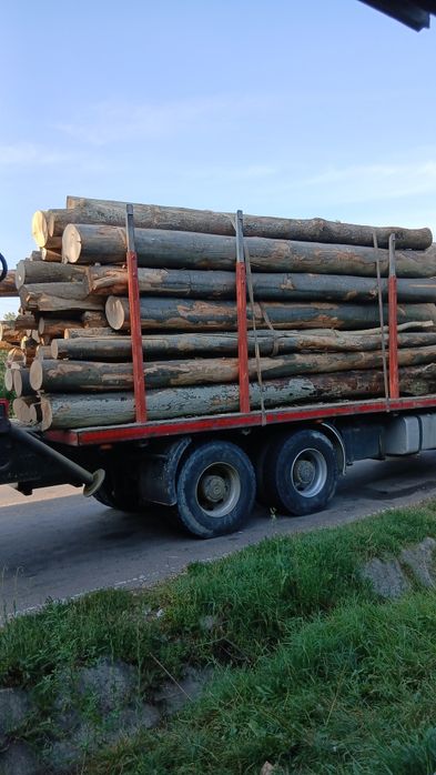 Lemn foc fag buștean fară putregai