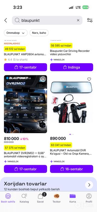 Blaupunkt videoregstrator