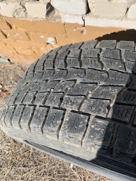 Летние шины Данлоп