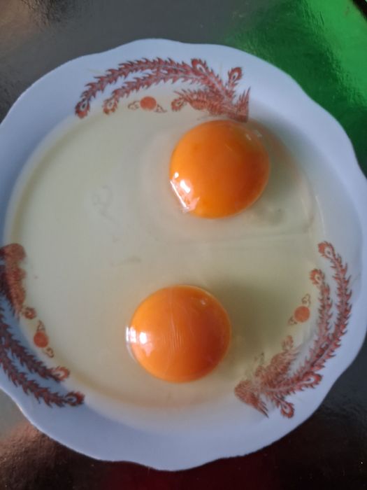 Ouă proaspete de casă