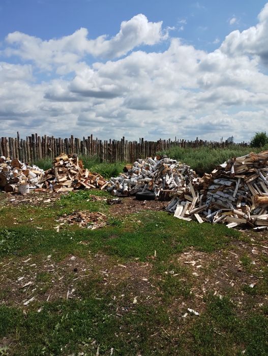 Дрова берёза колытые сухие