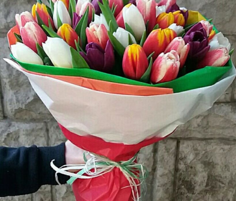 Тюльпаны оптом и в розницу