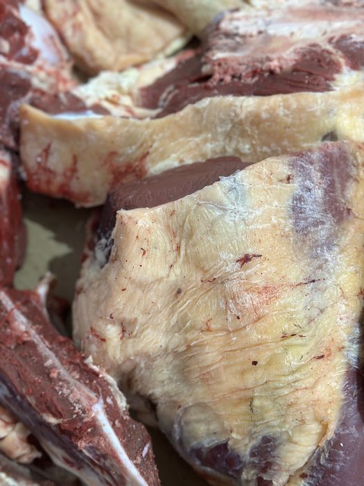 Говядина мясо ет қашар сиыр күздік