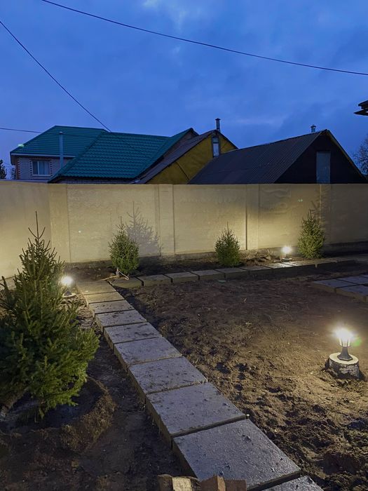 ель и сосны карагай с комом