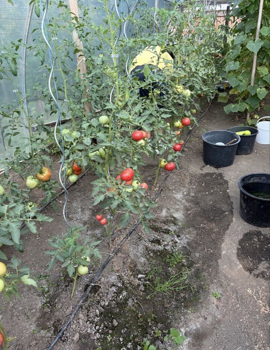 Vand solar 14 mp 6x4m