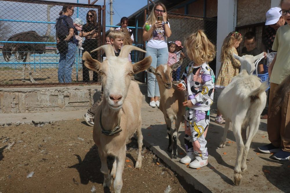 Экскурсия на страусиную ферму