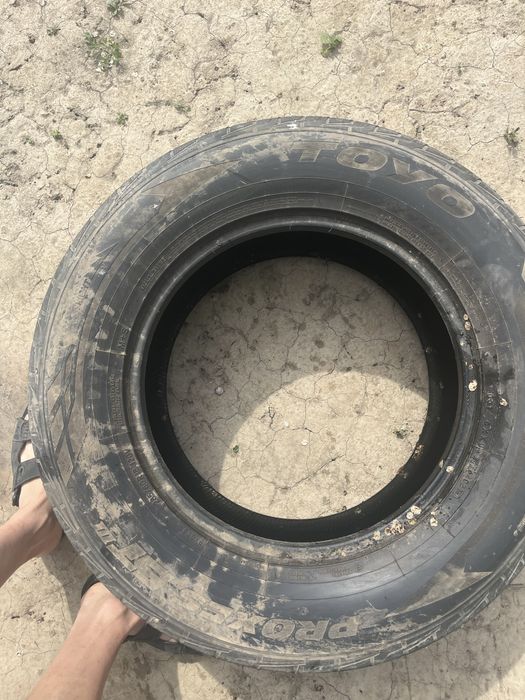 бу покрышка TOYO