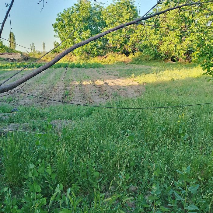 Yer sotladi 10 soʻtik