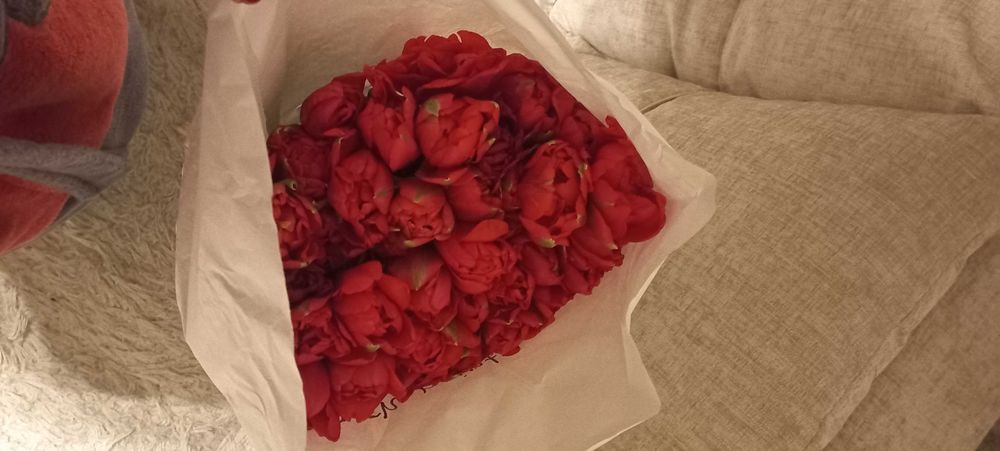 Продаю тюльпаны!!!