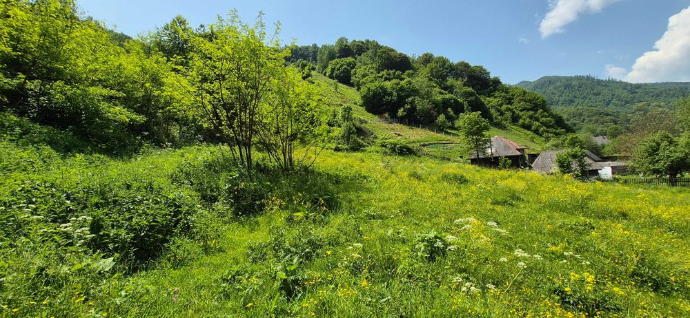 Teren intravilan în munții Apuseni jud Alba/Cluj