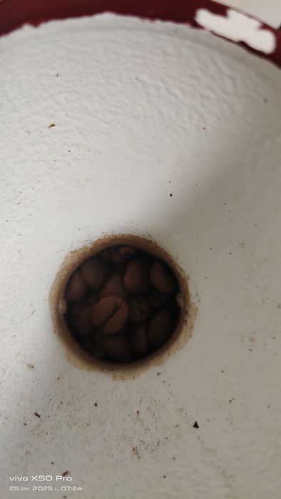 Продам винтажную мельнитцу