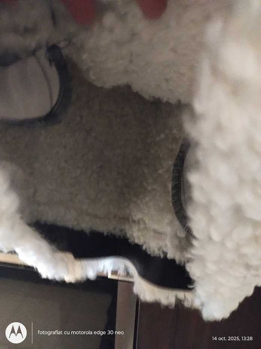 Jacheta scurta, neagra, din piele eco, cu blanita sintetica, M/L