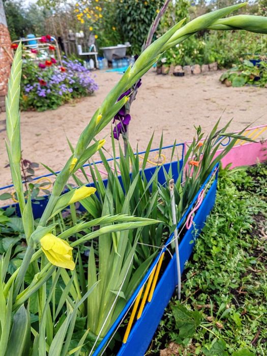 Продам дачу в черте города