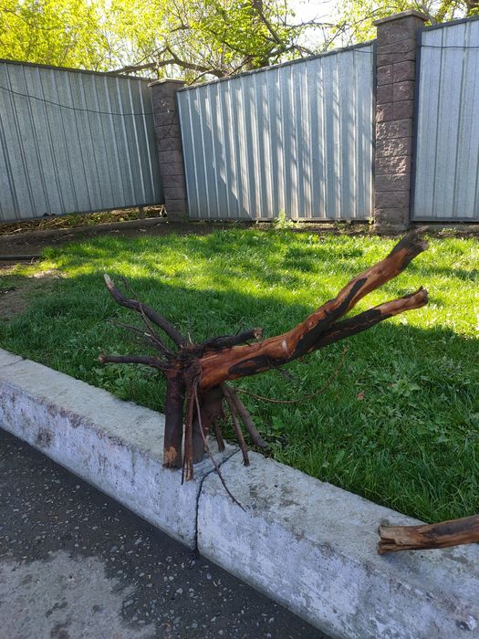 Коряга - декор в аквариум