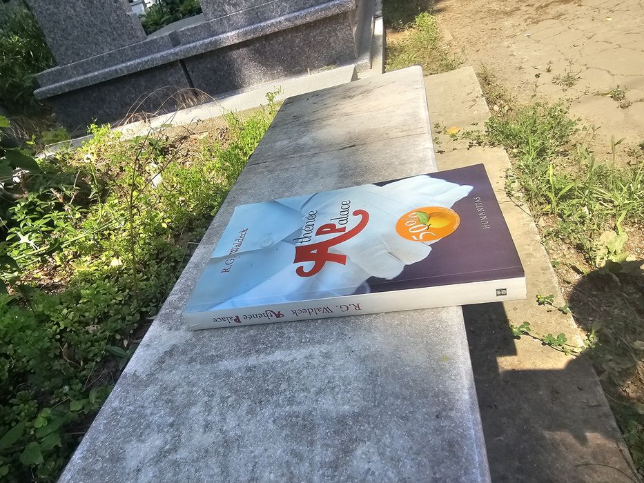 Athenee Palace de Rosa Goldschmidt Waldeck