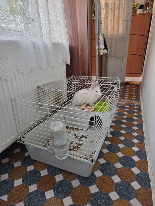 Cușcă iepure/răzătoare 80x50 cm