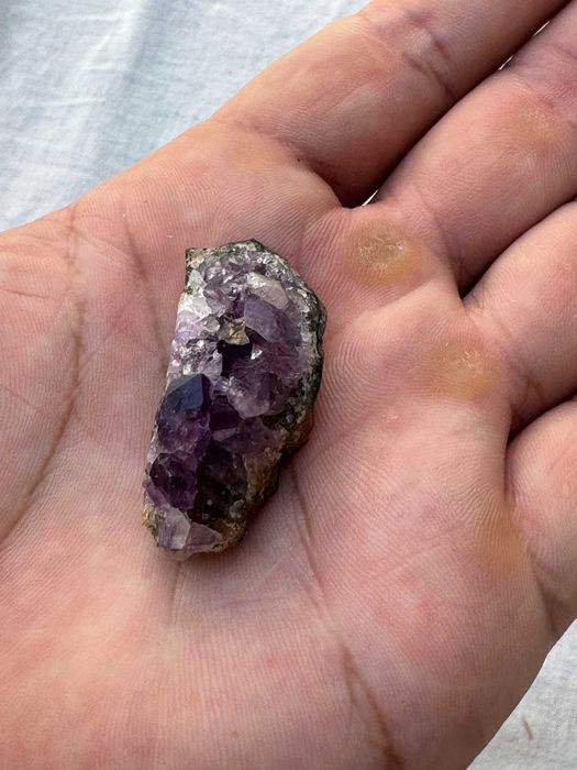 Коллекционерлар учун