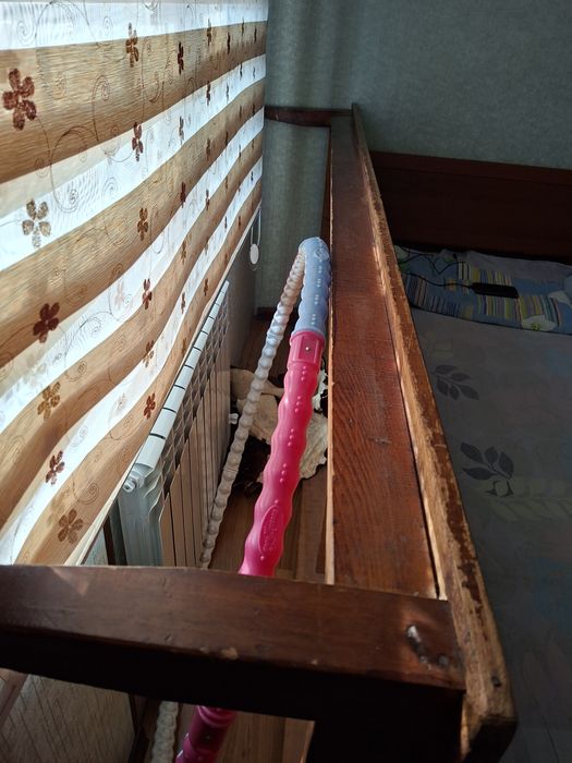 Хонтахта тозза ёгочдан