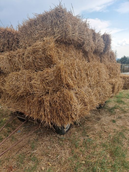 Бали слама (малки)