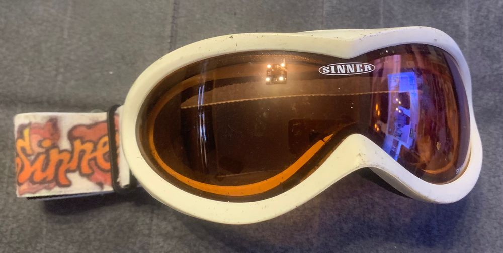 Очила за ски Sinner, Alpina