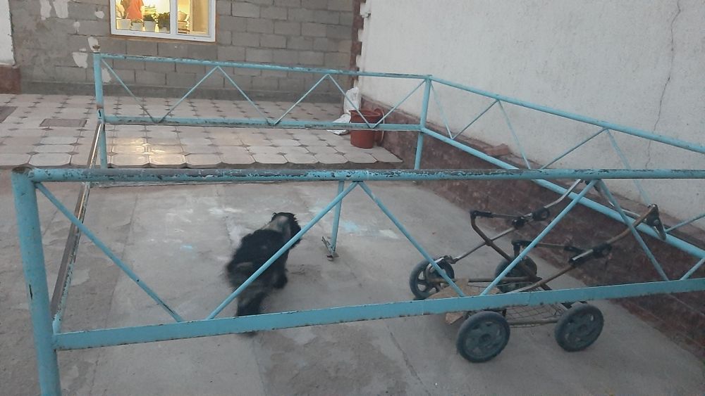 Тапчан железный т