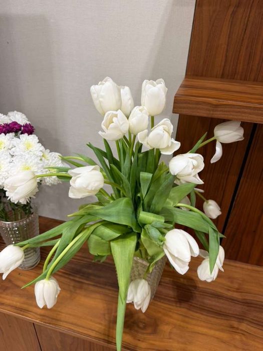 Свежие 19 огромных тюльпана