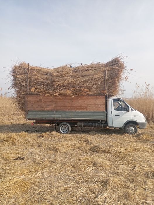 Сабан прес 300₸ бау қамыс 400 ₸