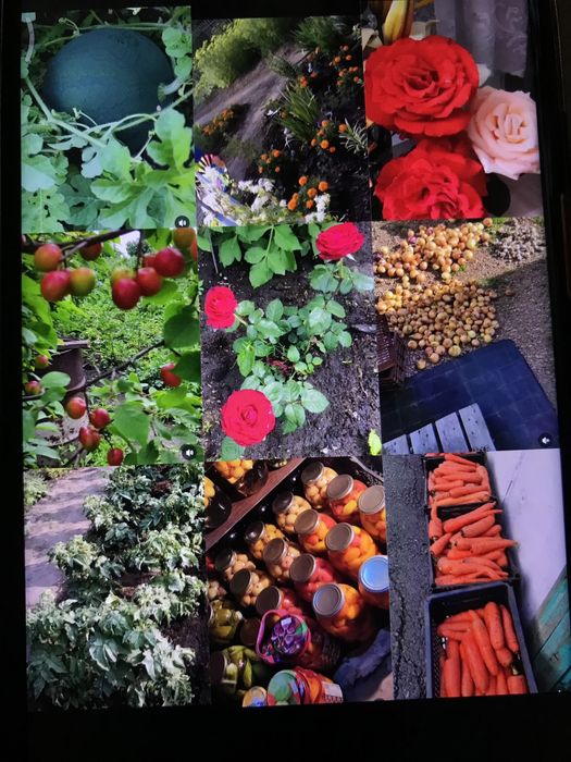 Дача 10 соток Общество «Ракета»