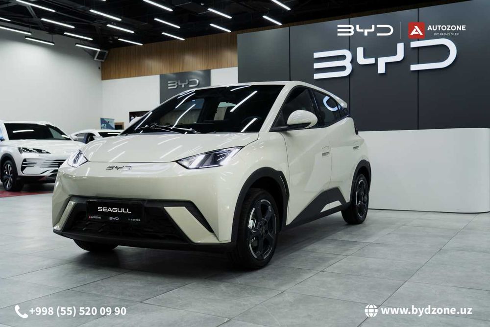 BYD Seagull 405km Flying AVTOZONE