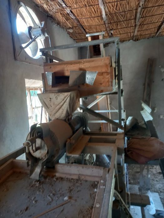 Sholi xoroz sotiladi