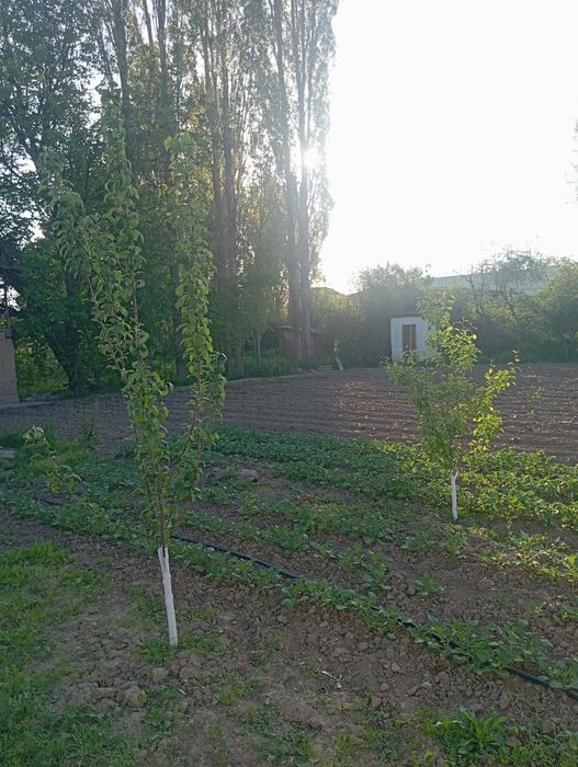 Yer uchastkasi sotiladi/Участок земли продается