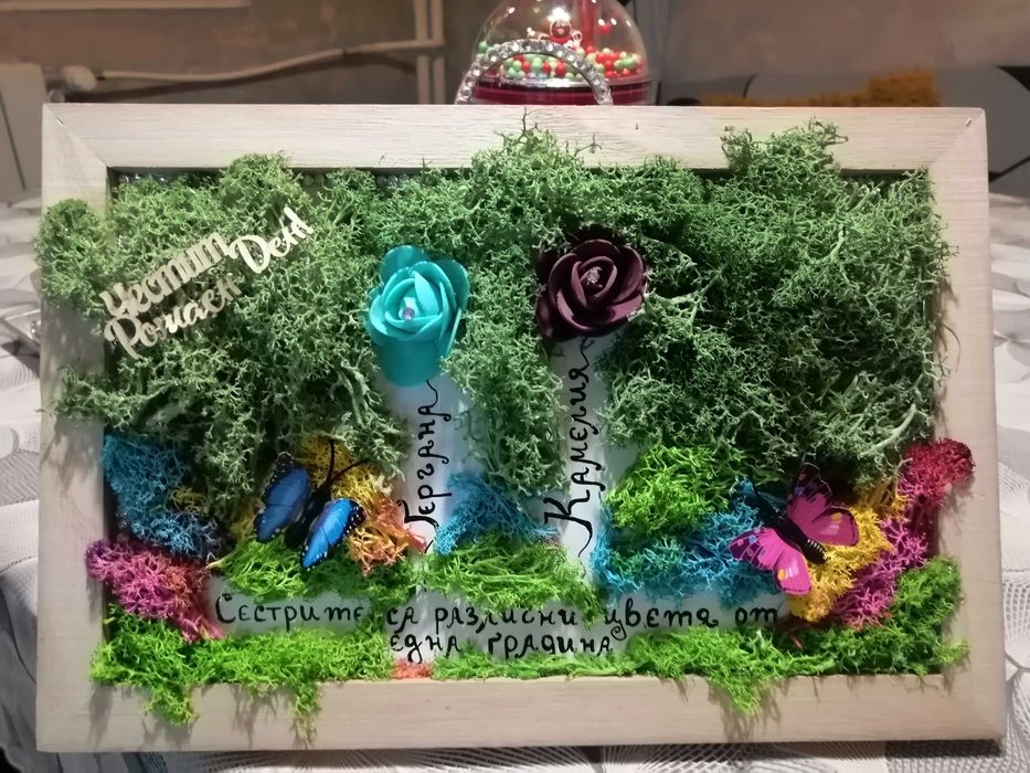 Единични модели на картини