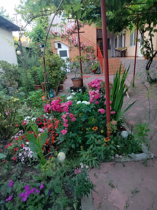 Camere cazare Mangalia