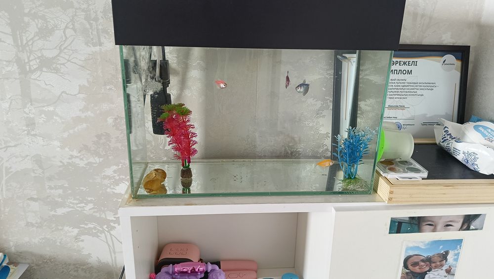 Продам аквариум с рыбками