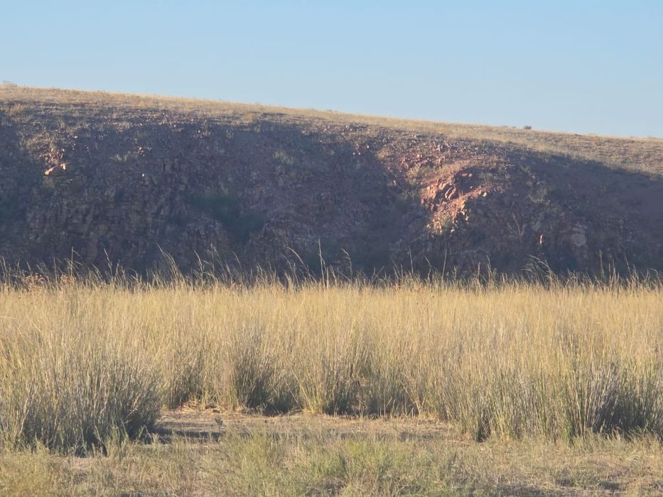 Продам участок 500 га Курти