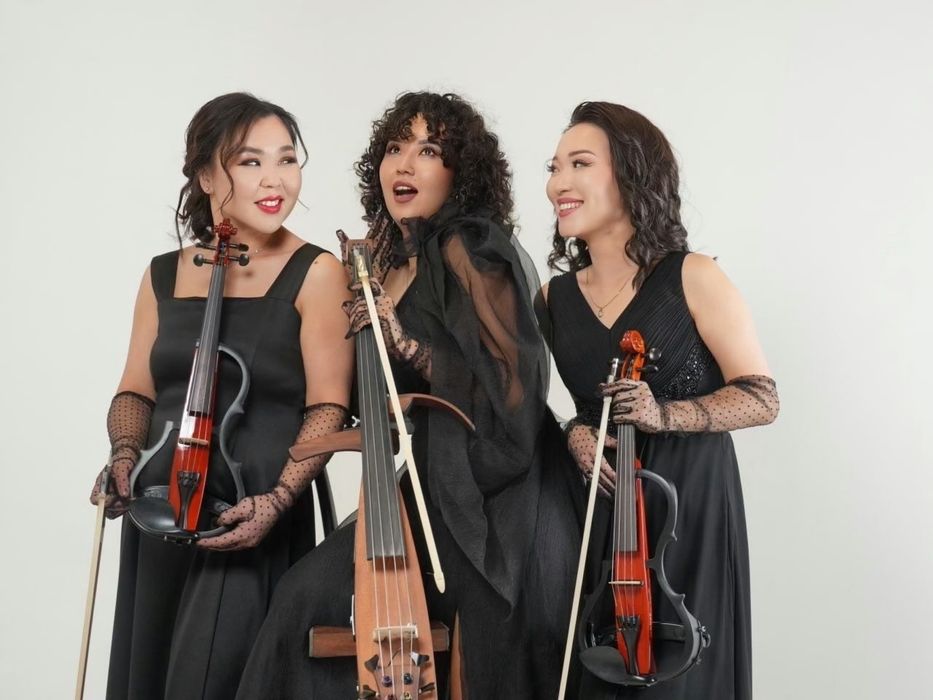 Дуэт трио скрипка и виолончель